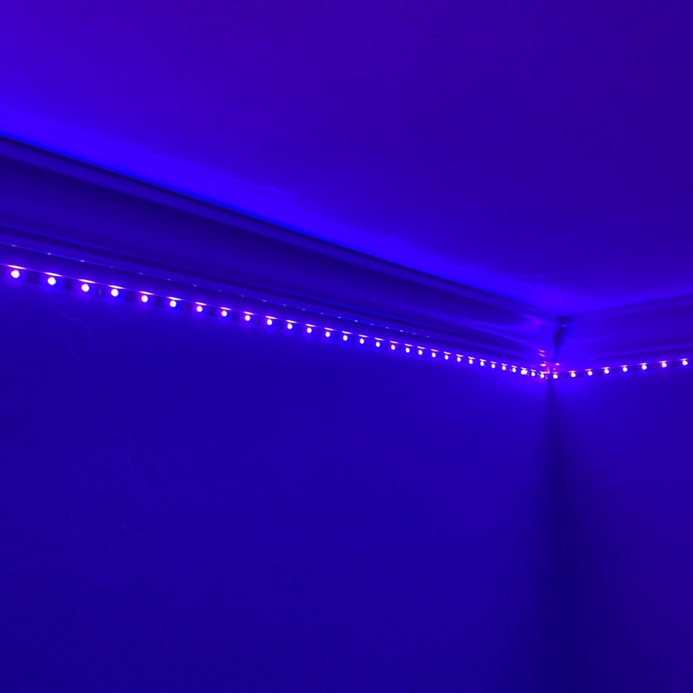 62 ft Strip LED Lights- Lightly used